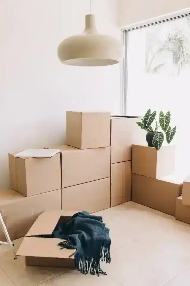 نقل عفش مع التغليف
